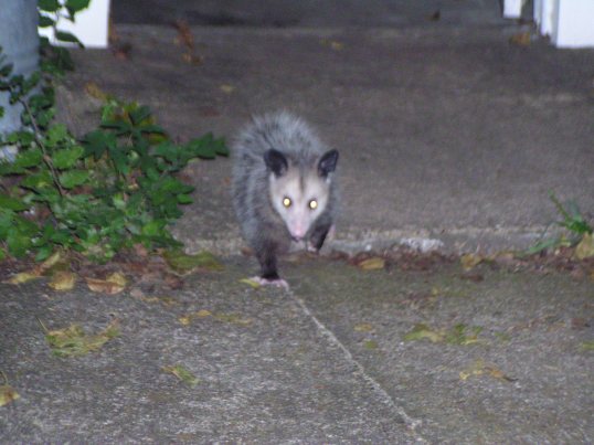 (Picture Taken By The Dazzling Erin Nicole)