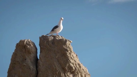 vlcsnap-2016-09-30-16h18m14s760