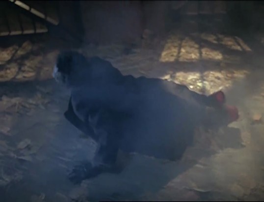 vlcsnap-2016-10-04-21h28m15s839