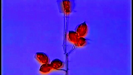 Enjoy the Silence by Depeche Mode (1990)