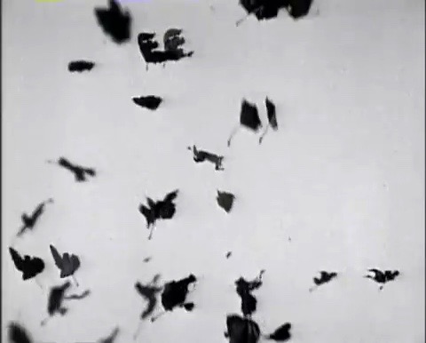 Dirty Black Summer by Danzig (1992)