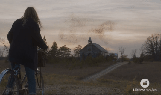 2b111be7-608e-4a24-8740-7bcee2919671