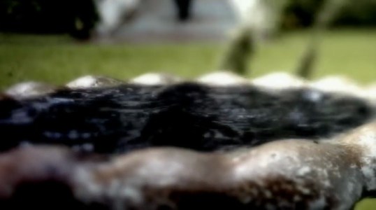 vlcsnap-2016-12-29-17h43m38s462