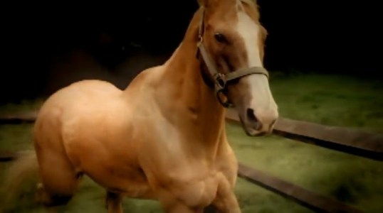 vlcsnap-2016-12-29-17h45m21s779