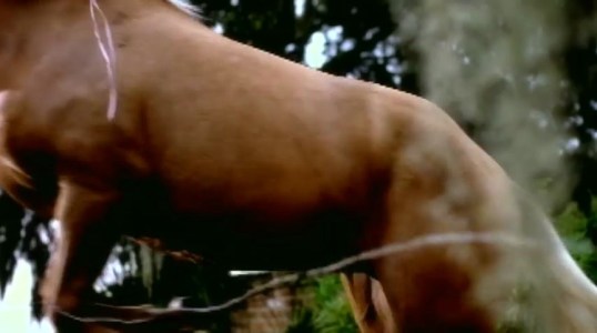 vlcsnap-2016-12-29-17h48m35s523