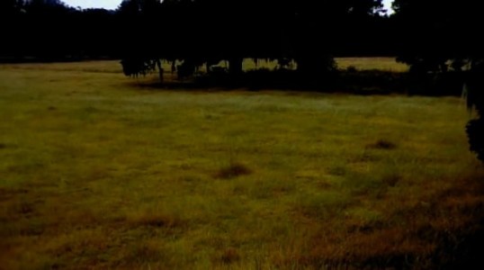 vlcsnap-2016-12-29-17h50m38s288