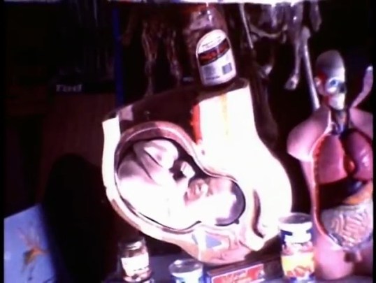 vlcsnap-2017-02-14-16h50m03s014