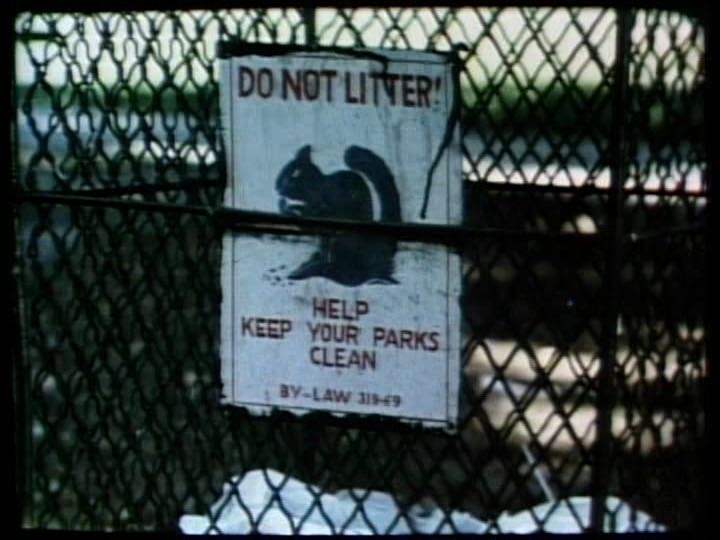 vlcsnap-2019-02-21-10h38m53s425